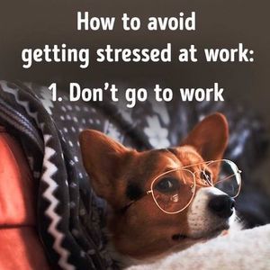 Meet your Posher, Lillian